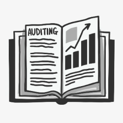 Bookkeeping/Auditing 